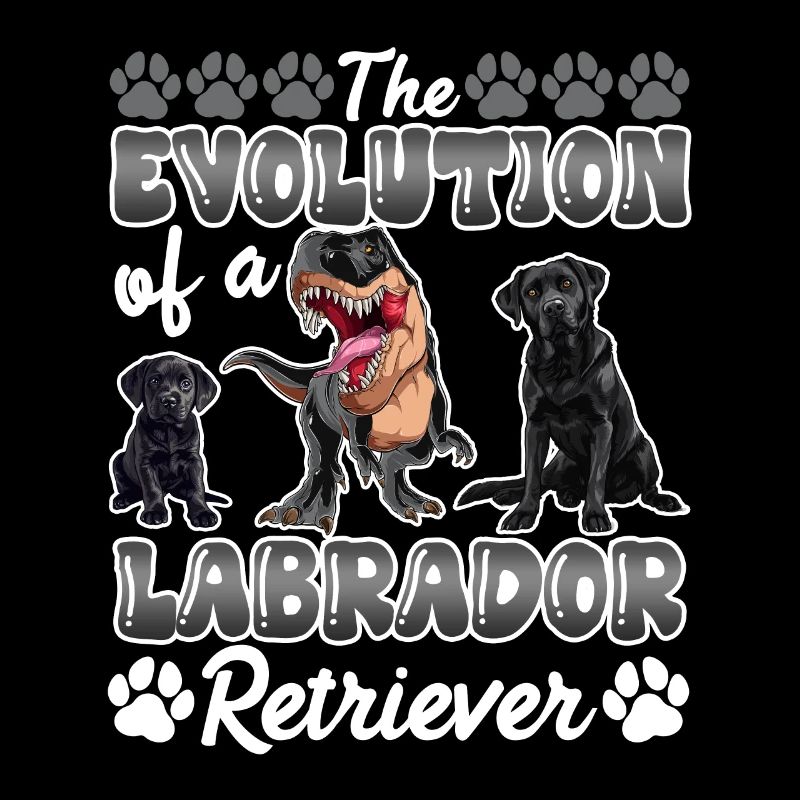 Hundebesitzer DIE EVOLUTION EINES LABRADOR