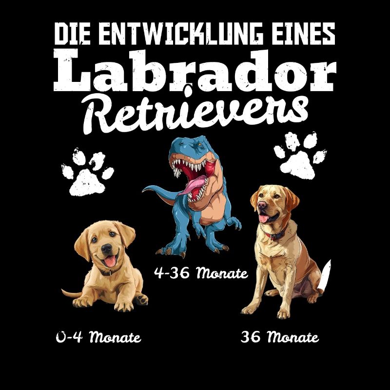 Hundebesitzer DIE EVOLUTION EINES LABRADOR