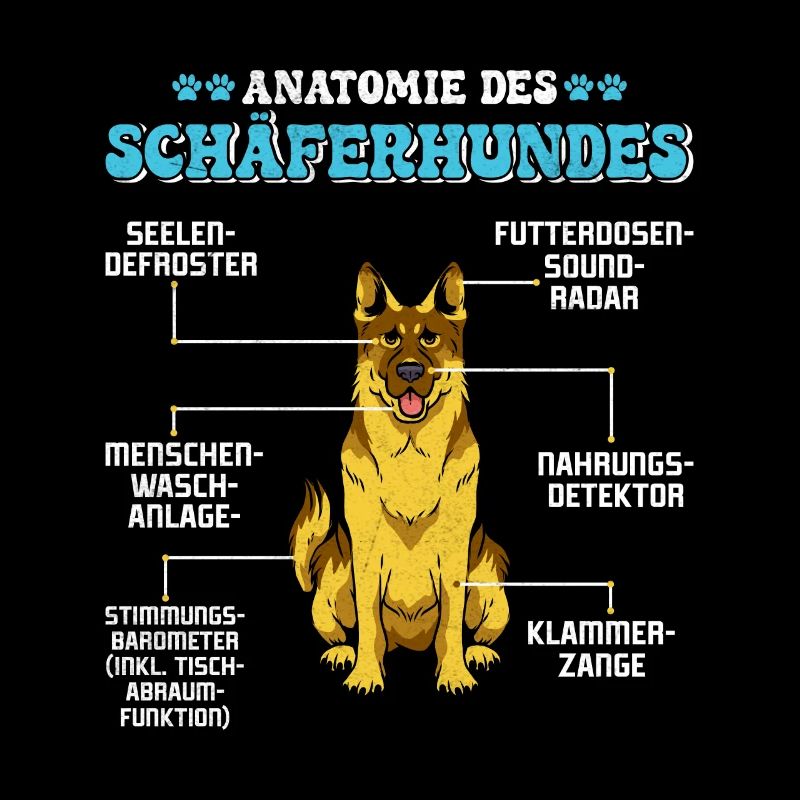 Deutscher Schäferhund ANATOMIE DES SCHÄFERHUNDES