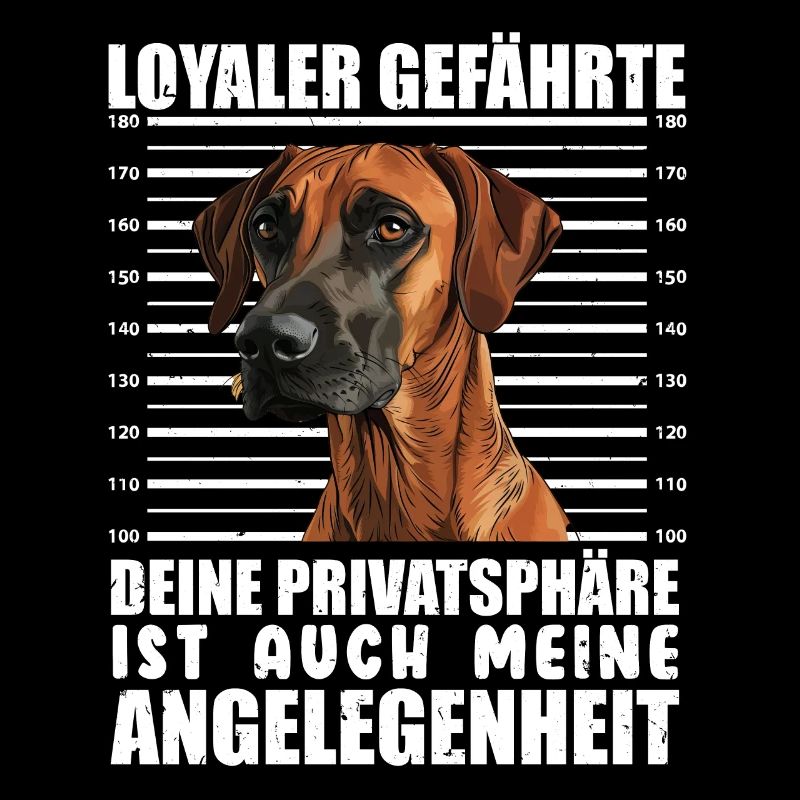Rhodesian Ridgeback LOYALER GEFÄHRTE Hundebesitzer