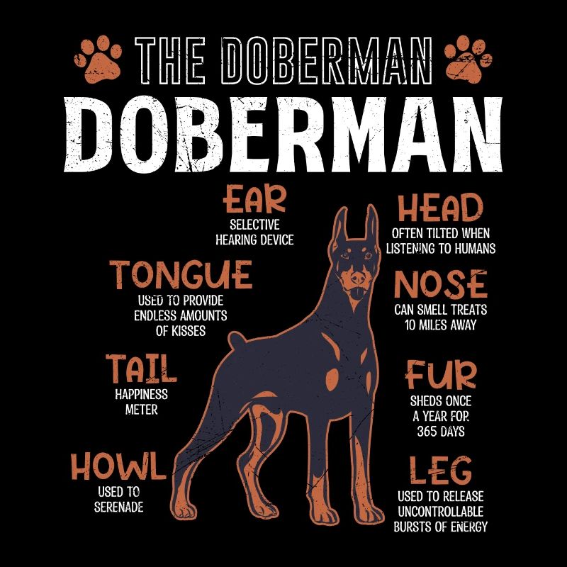 DOBERMAN Bauplan Lustiges Doberman Hundebesitzer
