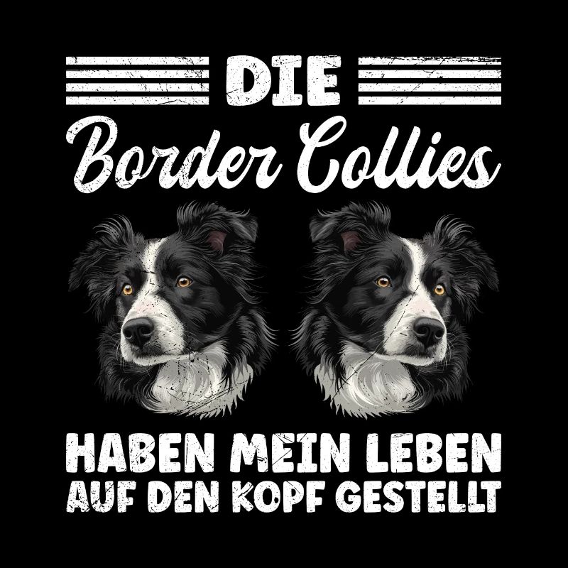 Border Collies MY LIFE TURNED UPSIDE DOWN