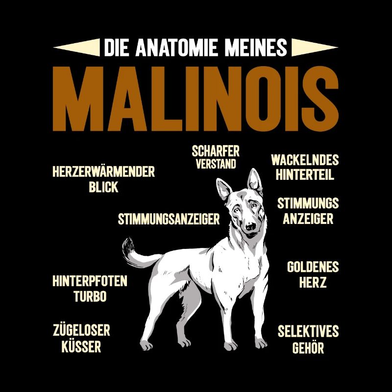 Malinois ANATOMIE D’UN MALINOIS BELGE Drôle