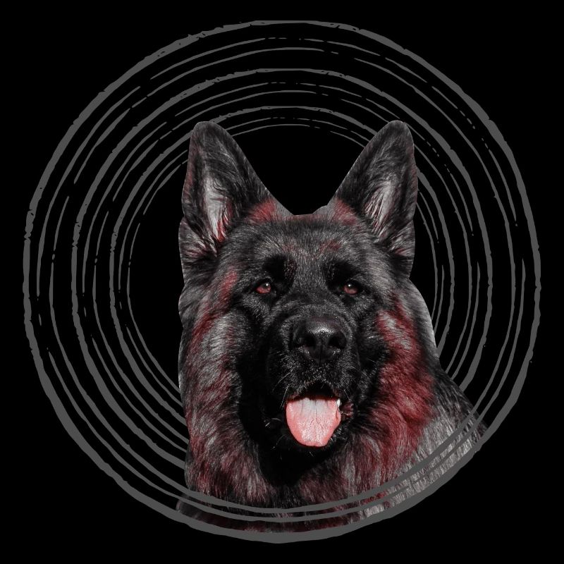 German shepherd