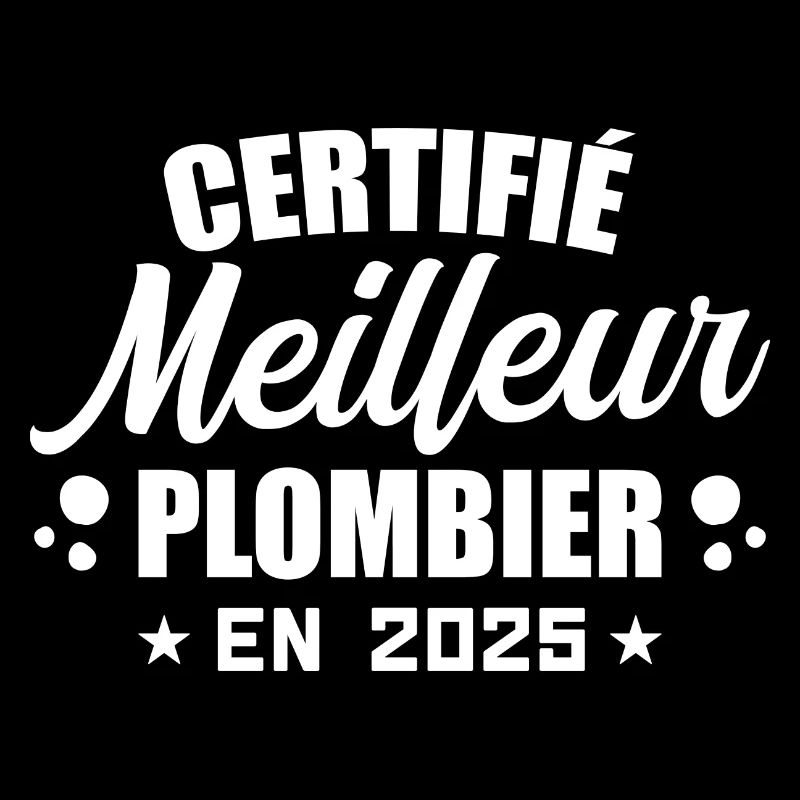 Certified Best Plumber in 2025