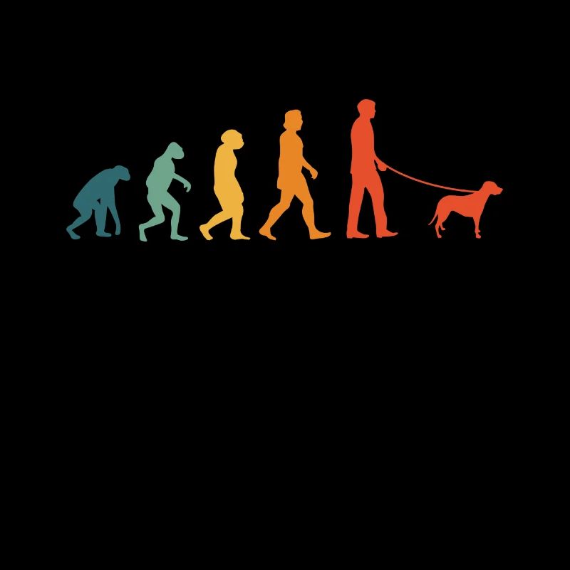 Brandlbracke Evolution Retro Bracke Hund