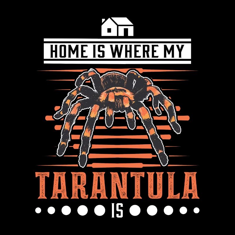 Tarantel Zuhause Spinne Tarantula