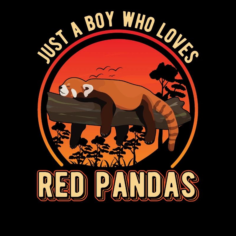 Roter Panda Junge Red Panda