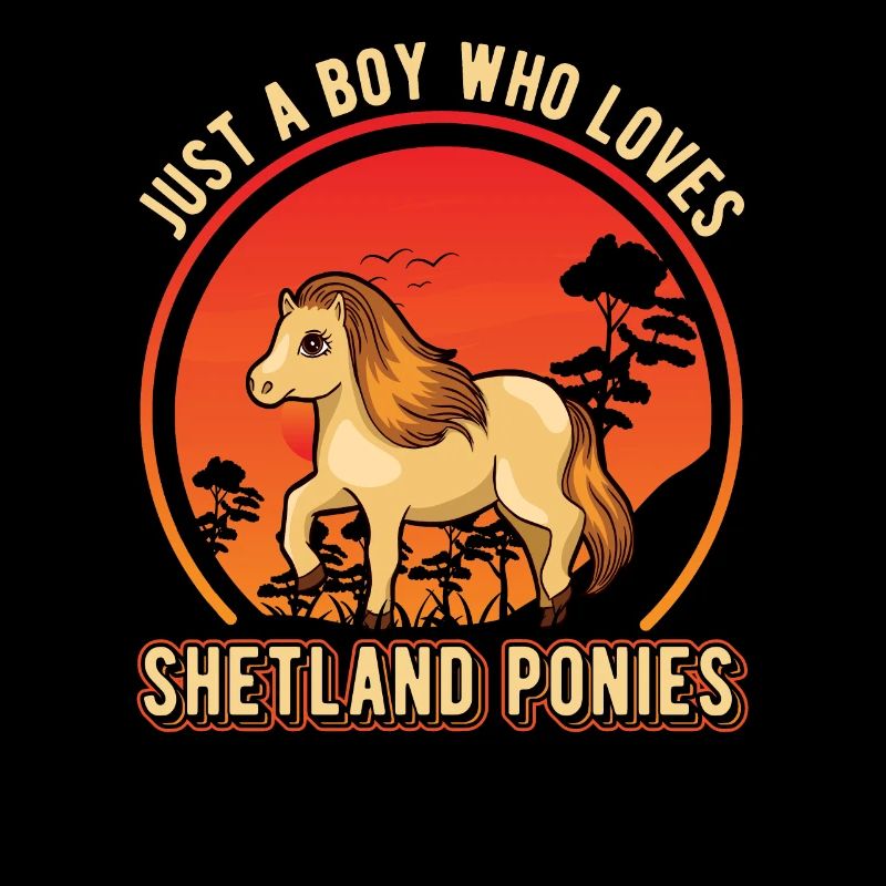 Shetland Pony Boy Shetland Pony Shetty