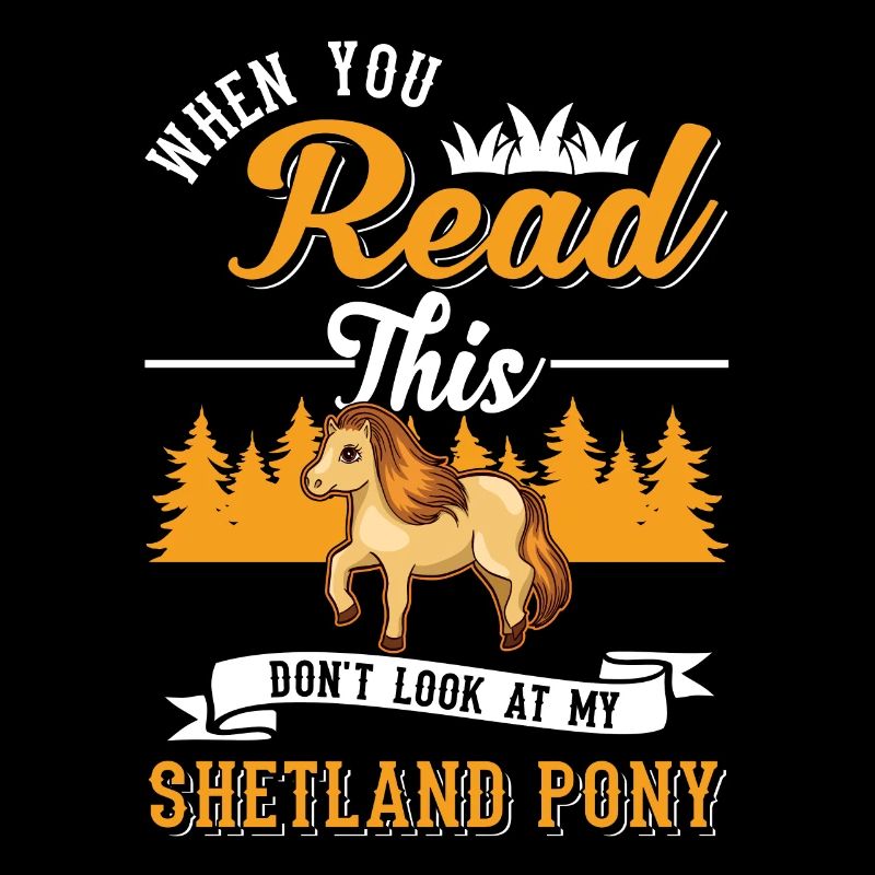 Shetland Pony Geschenk Shetty