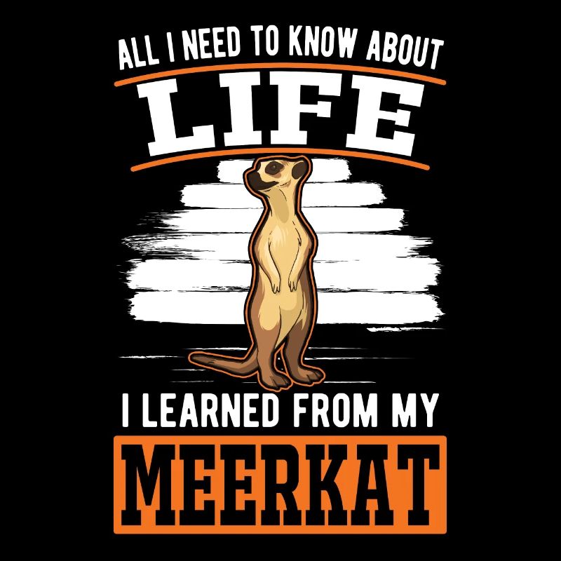 Suricate d’Erdmännchen
