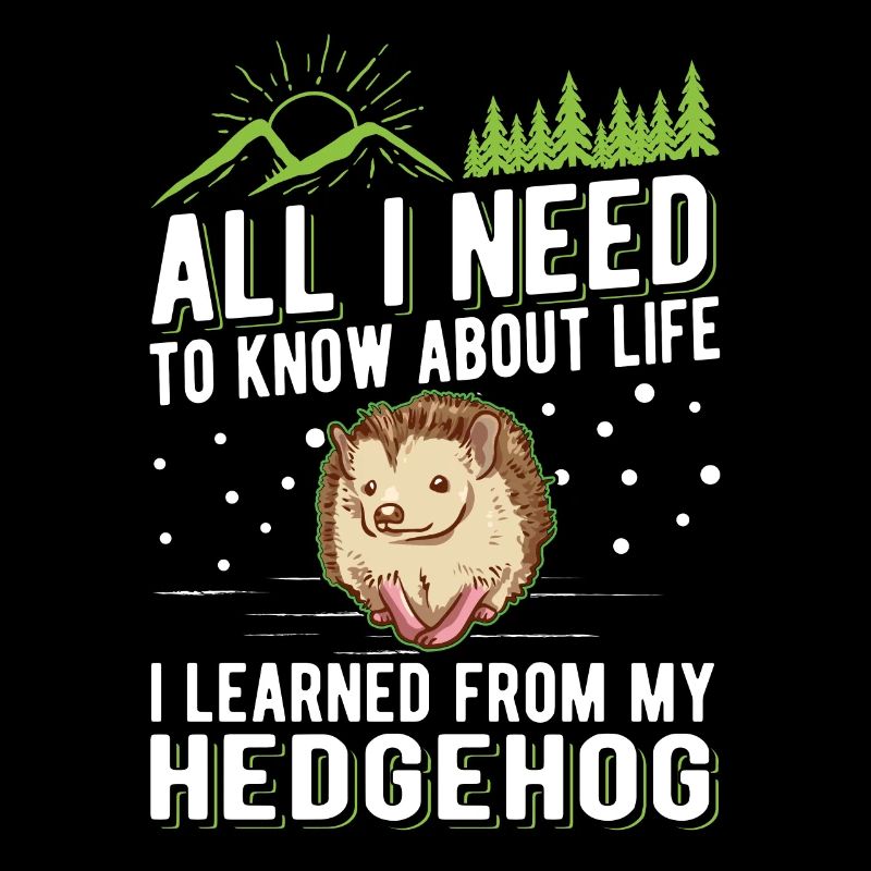 Igel Geschenk Stacheligel