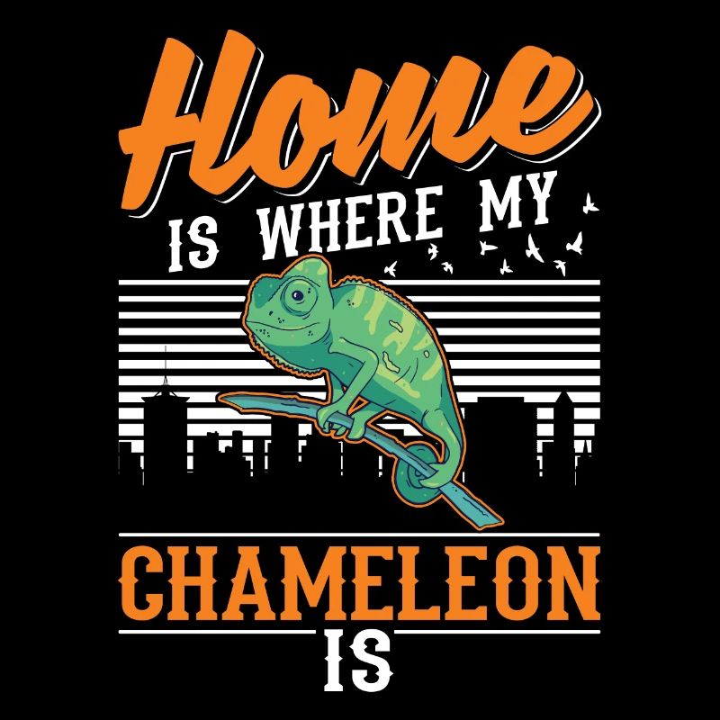 Caméléon Accueil Caméléon