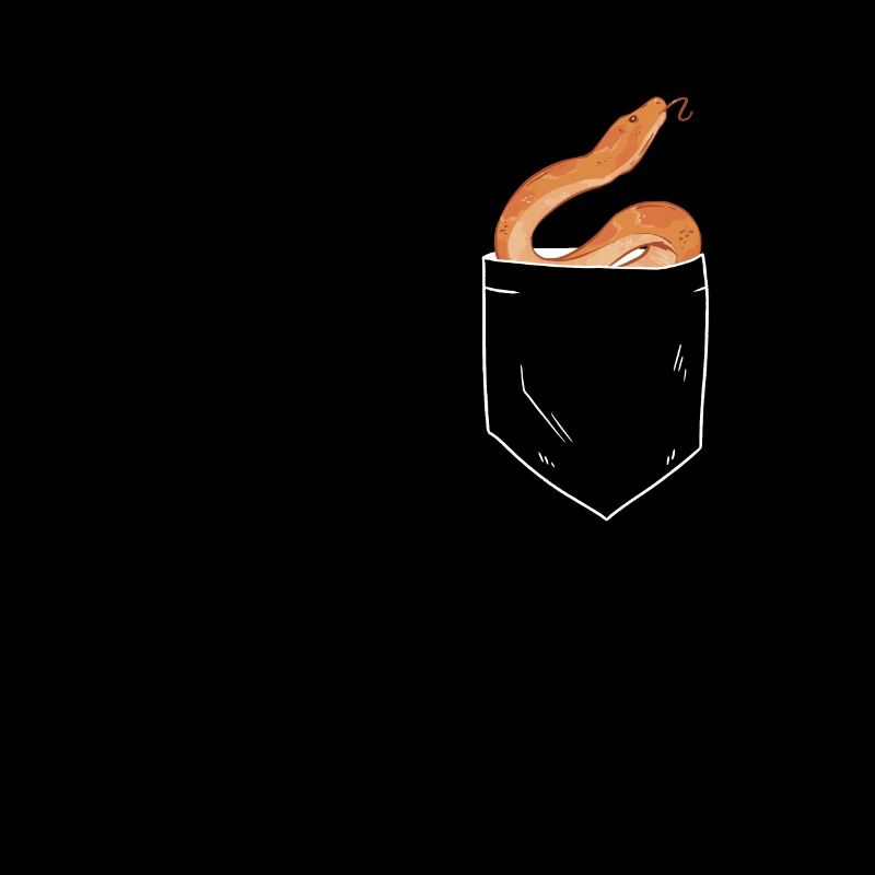 Couleuvre des maïs dans la poche de poitrine