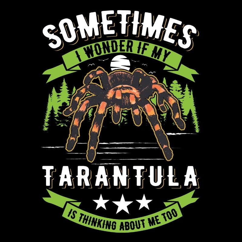 Tarentule Araignée Tarentule