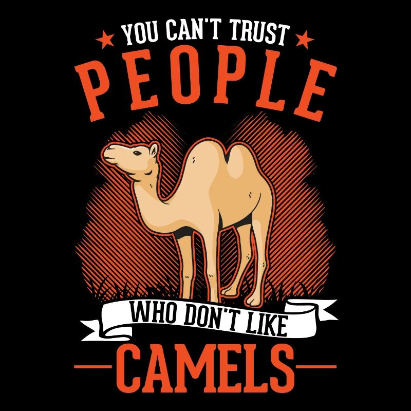 Kamel Dromedar Ägypten Geschenk Großkamel