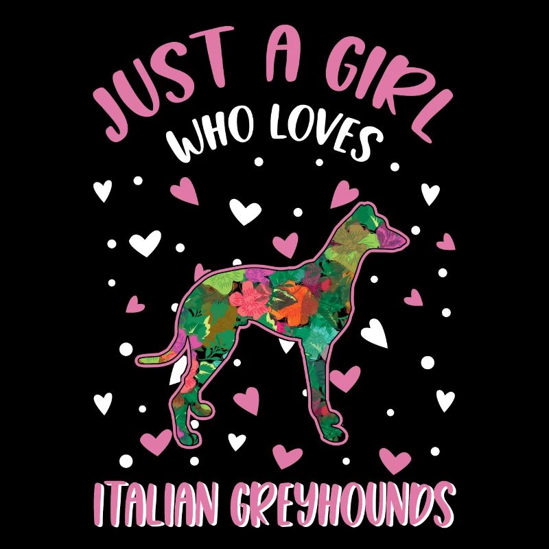Italienischer Windhund Mädchen