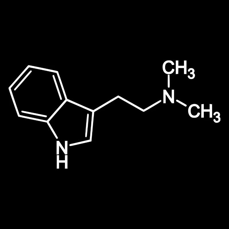 DMT Molekül N,N-Dimethyltryptamin