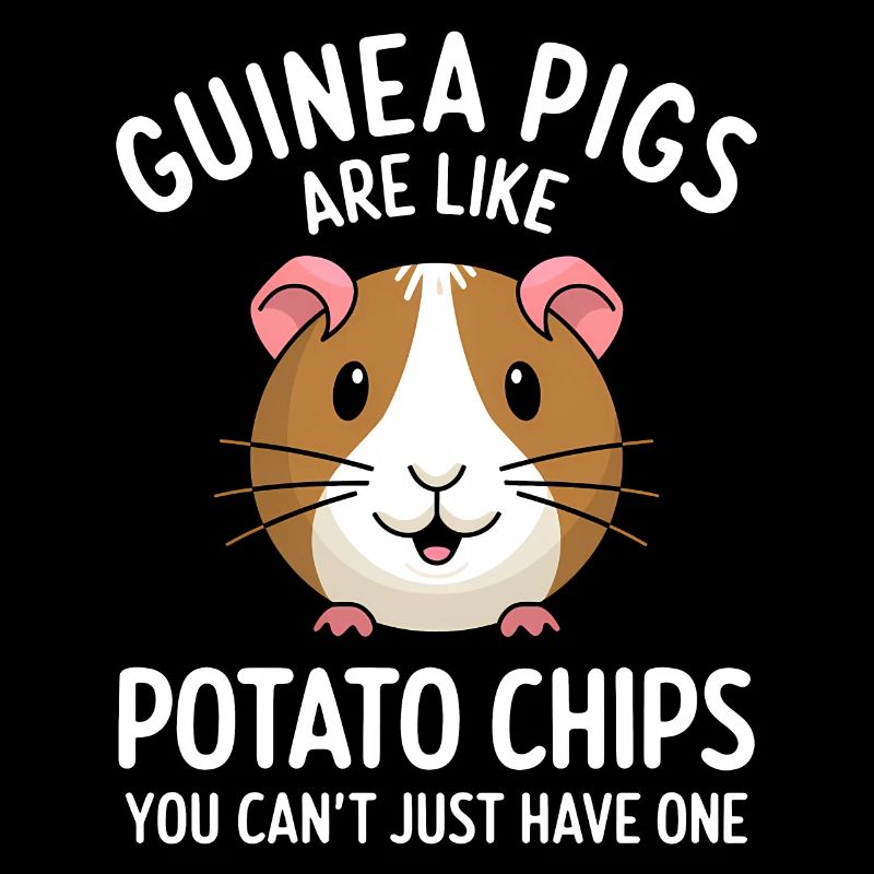 Dicton de cochon d’Inde, Cadeau de cochon d’Inde