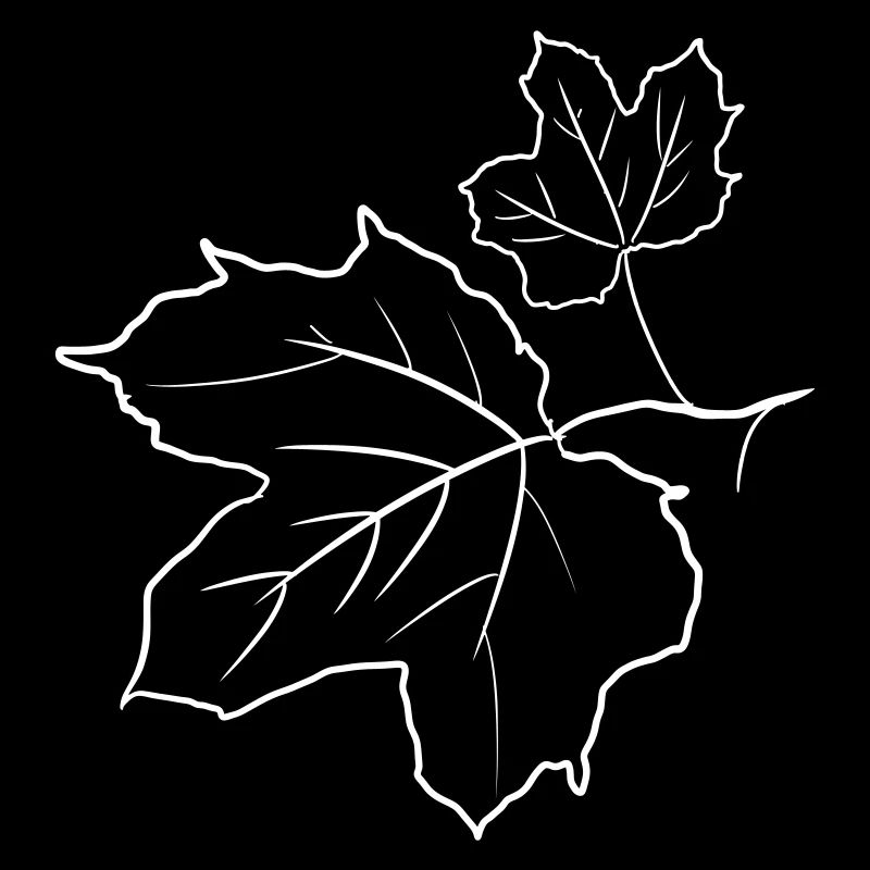 Feuille d’érable / Maple feuilles dessin. Jaune, vert.