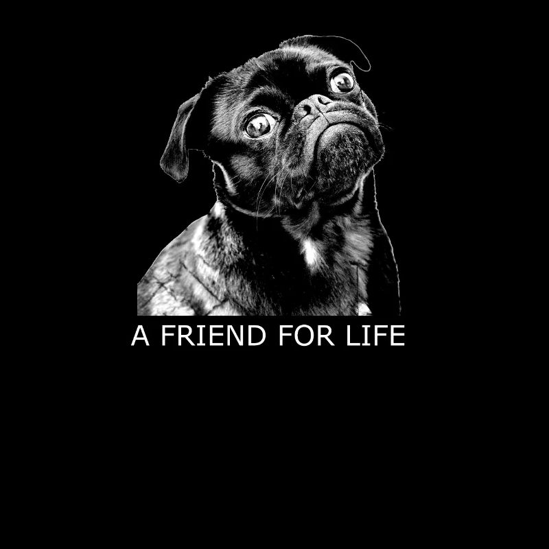 schwarzer Mops Geschenk