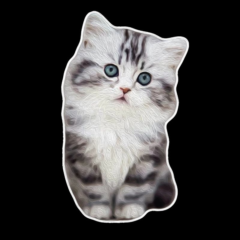 Chat de patte de velours mignon kitty kitty