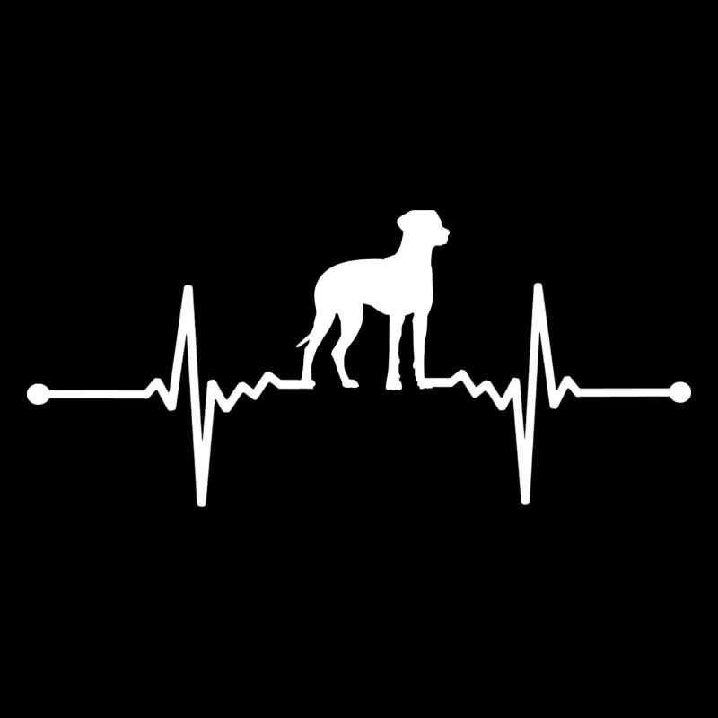 Rhodesian Ridgeback - Rhodesian Ridgeback