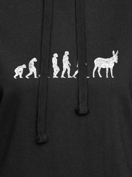 Esel Maultiere Maultier Mulis Evolution