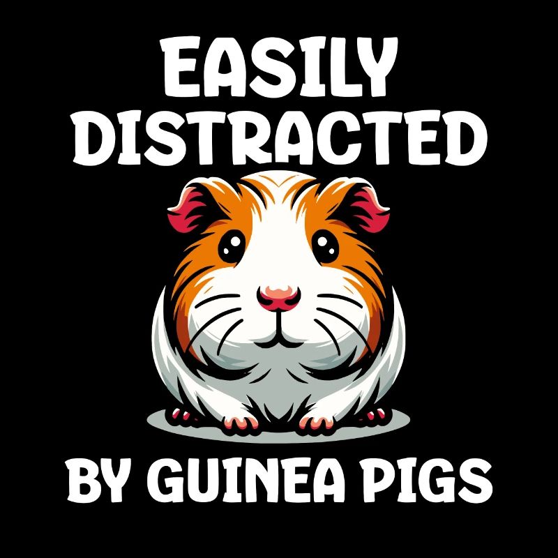 Facilement distrait par les cochons d’Inde