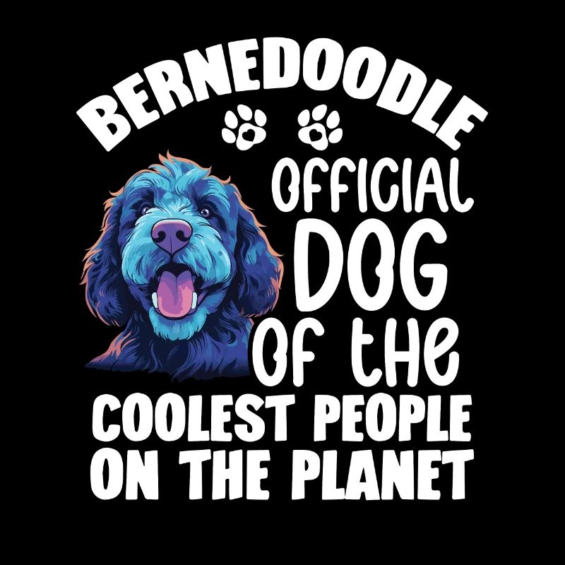 Bernedoodle, Offizieller Hund Der Coolsten