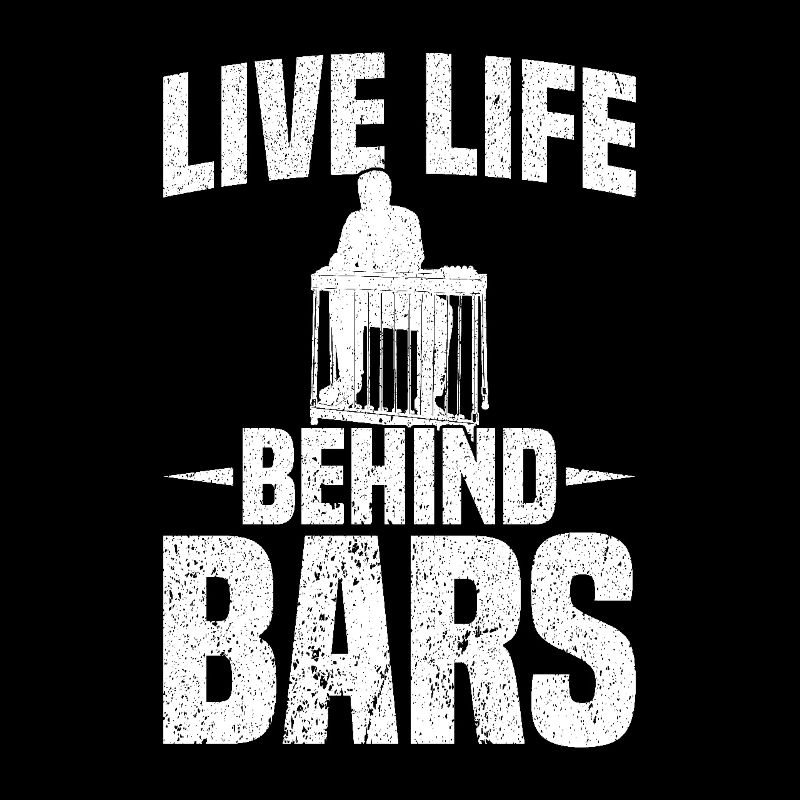 Pedal Steel Guitar Lebe Das Leben Hinter Gittern