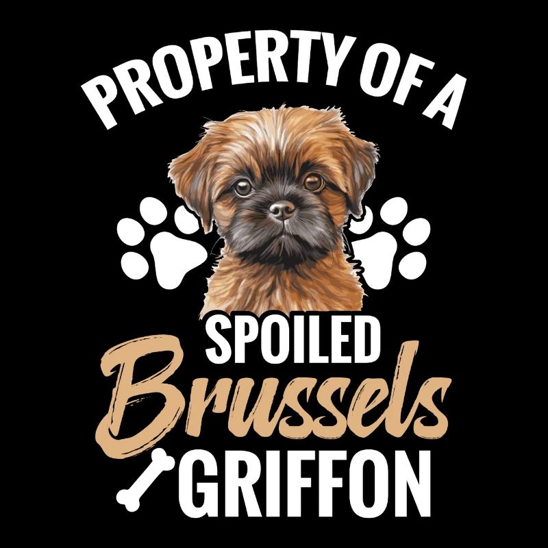 Eigentum Eines Verwöhnten Brüsseler Griffon