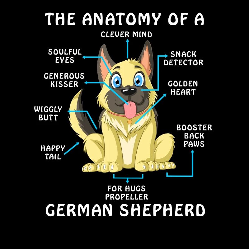 Anatomie eines Deutschen Schäferhundes