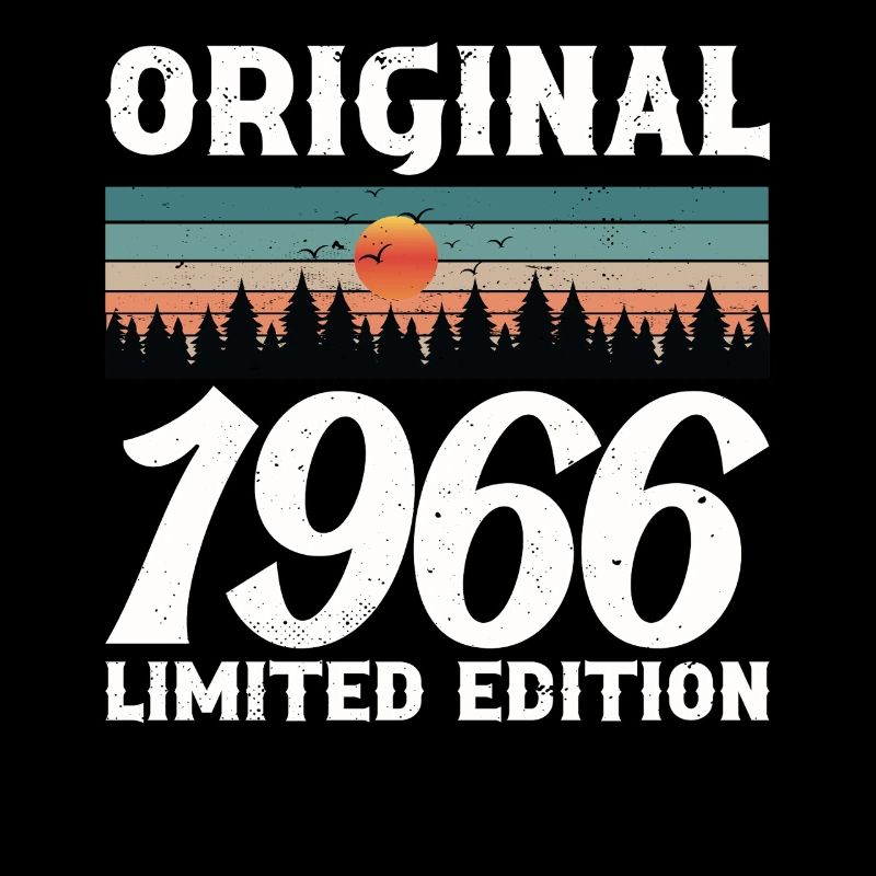 Originales Retro-Vintage-Geburtstagsgeschenk von 1966