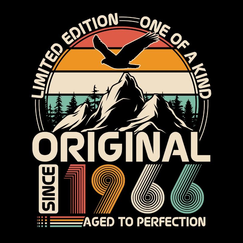 1966 Original Vintage Birthday Gift