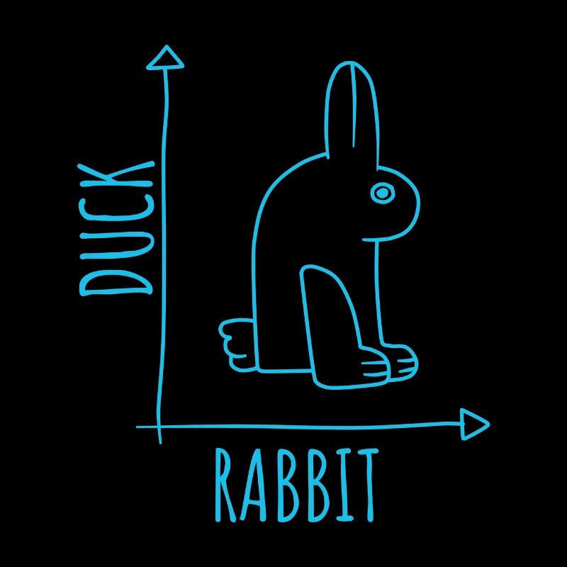 Mystification canard lapin effet optique Wittgenstein