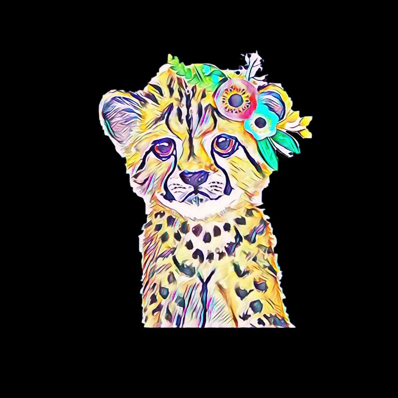cheetah