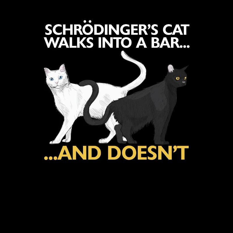 Le chat de Schrödinger drôle de science physique