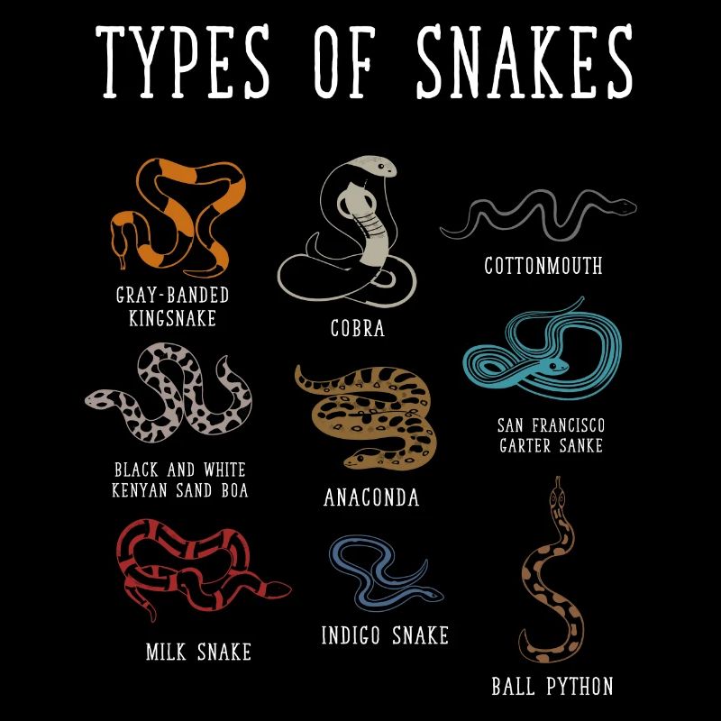Types de serpents, Serpent, Types de serpents, Cobra