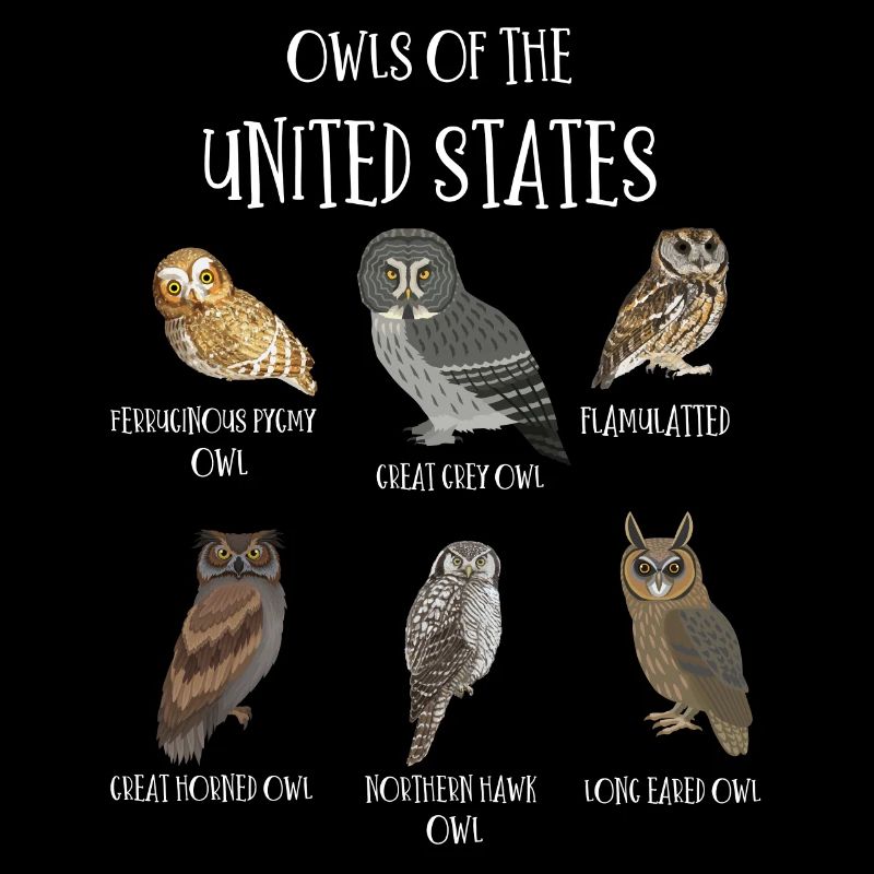 Eulenarten, Eulen & Kauze, Eule Fan