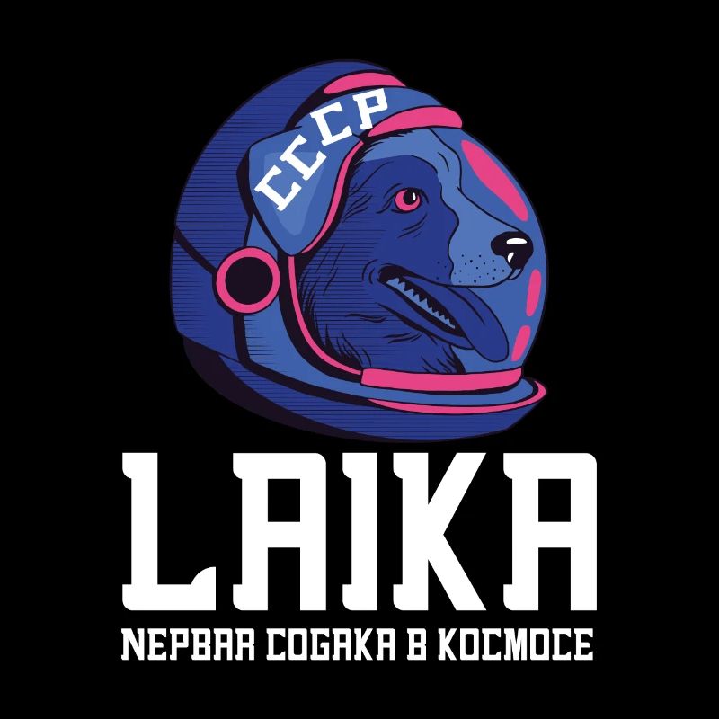 Spoutnik Conception de l’espace