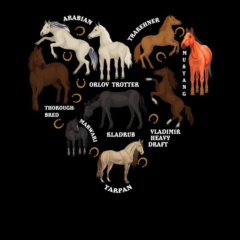 Espèces de chevaux, de chevaux, d’Arabes