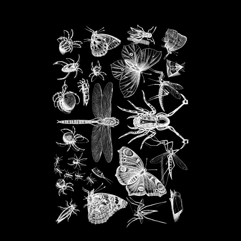 Cadeau d'insecte