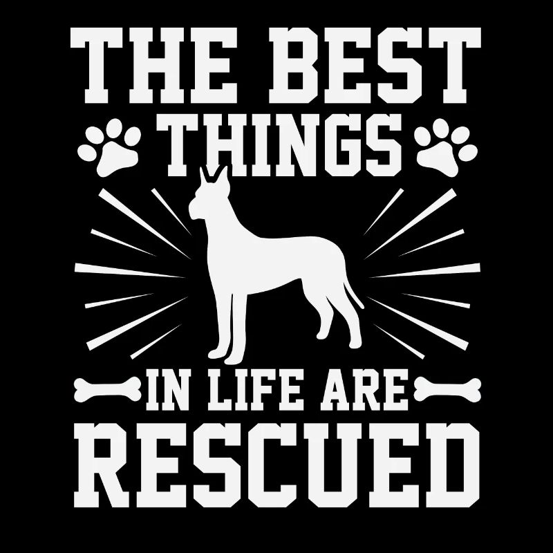Refugio de animales Perro Salvar Protección Animal Refugio para Perros