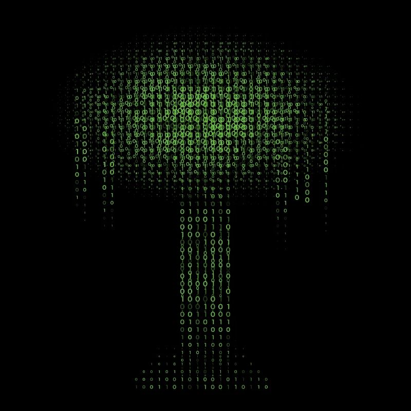 Binary Tree Encoding Computer Programmer