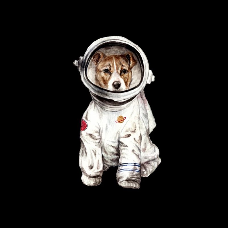 Chien en combinaison spatiale Spatiale Spatiale