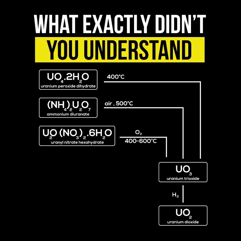 Nuclear Engineering Nuclear Nuclear Professor