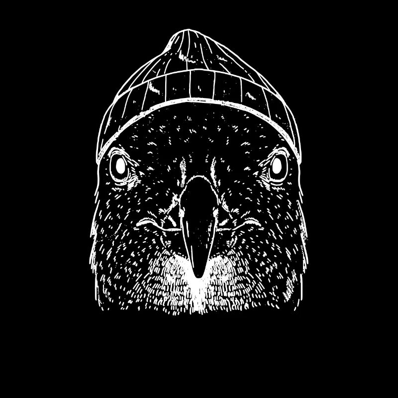 Möwe