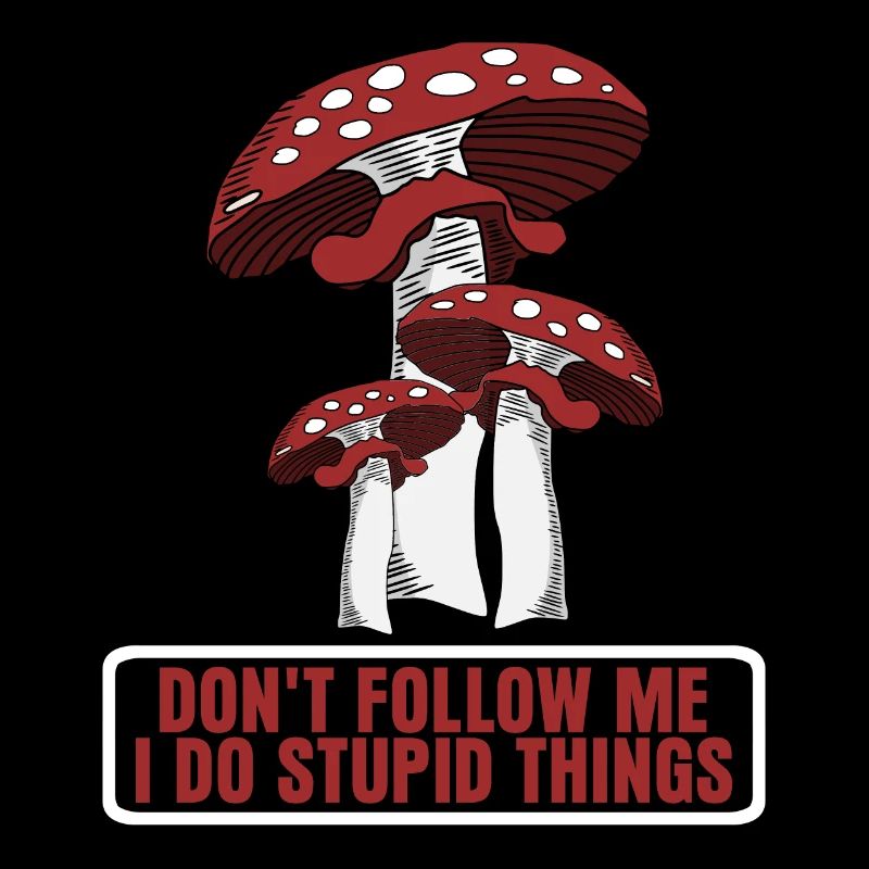 Fly agaric Fly agaric Mushroom Pickers