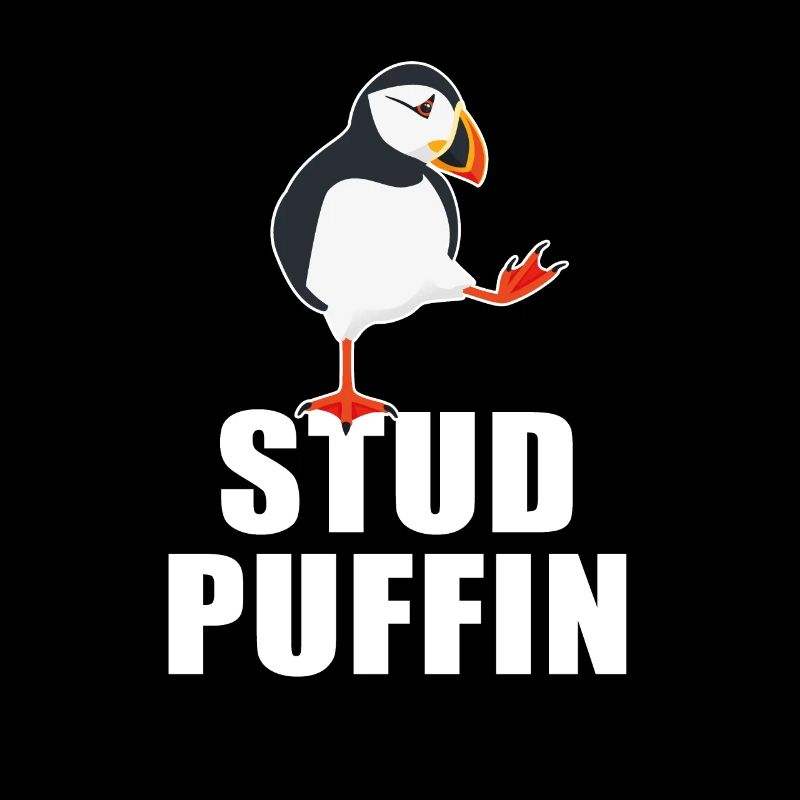 Stud Puffin Eistaucher Meeresvogel Papageitaucher